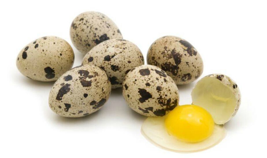 erecția ouălor de prepeliță